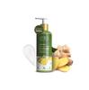 Lotus Botanicals Dandruff-Control Shampoo | Ginger Root & Tea Tree Oil | Anti Dandruff | Silicon, Sulphate & Chemical Free | For All Hair Types | Fo
