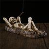 Creative Lying Position Skeleton Incense Holder Resin Skull Incense Burner for Cone Sticks Zen Meditation Desk Decor Gift