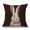 European Painting Goldfinch Rabbit Birds Flower Animals Posters Cushion Covers Decorative Pillows For Sofa XCM