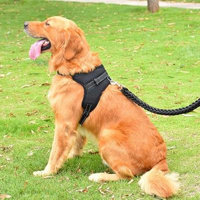 Purple Pet Puppy Large Dog Medium Dog L-Type Harness + Leash Set S, 1 Set, Black