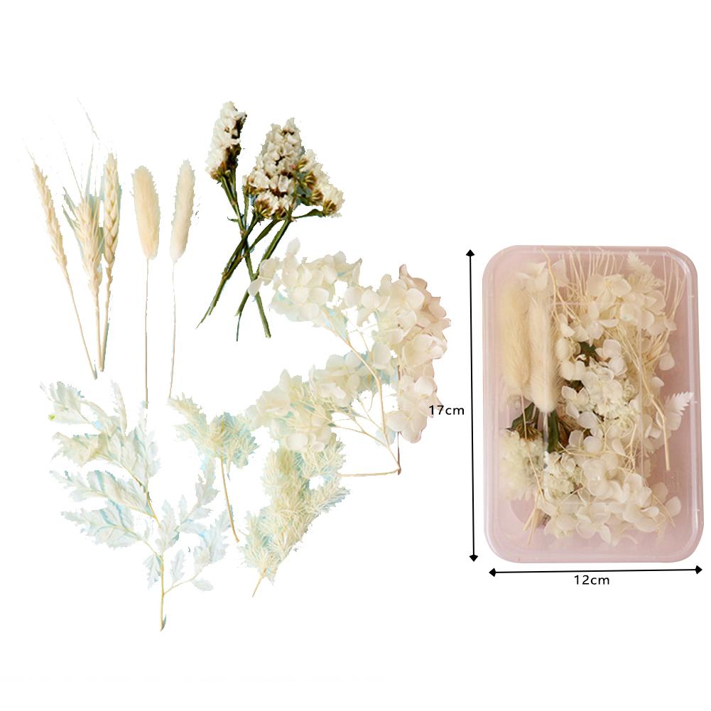 Naturalne kolorowe suszone kwiaty Diy rzemiosło pakiet materiałów na świeca zapachowa ręcznie girlanda ramka na zdjęcia Scrapbooking tworzenie kartek