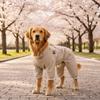 Breathable Dog Dust Pants Adjustable Waterproof Dog Boot Leggings Insect Proof Four-Legged Pants Protective Pants