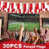 10M (32.8ft) Polish Flag String Flag Holiday Decoration Hanging Flag Pull Flag