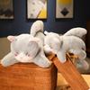Creative Cat Shark Plush Toy Cartoon Child Sleeping Soothing Sofa Pillow Gift