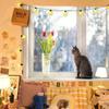Beautiful Window Scenery Tapestry Popular Live-Streaming Background Room Bedroom Decor Dormitory Renovation Privacy Curtain