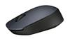 Wireless Mouse M170