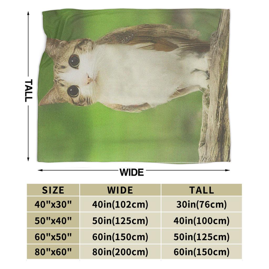 Cat Owl Funny Cursed Internet Trendy Meme Blankets Flannel Bedding Throws For Couch Chair Sofa Bed Warm Bedspread Gift Idea
