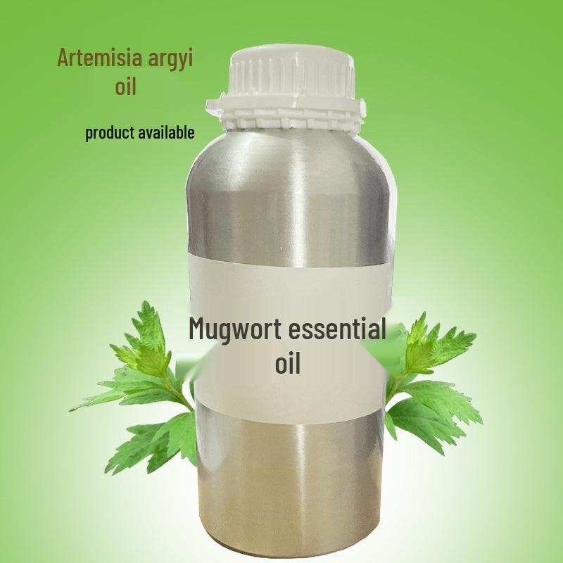 Mugwort Essential Oil for Aromatherapy, Skincare, Massage  Body Conditioning - High Purity Mugwort Leaf Oil.