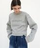 Teulimingbeodeu Stitched Semi-Cropped Tee [ Gray ]
