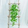 Epipremnum Aureum Fake Plant Vine For Home Decor And Photography Props