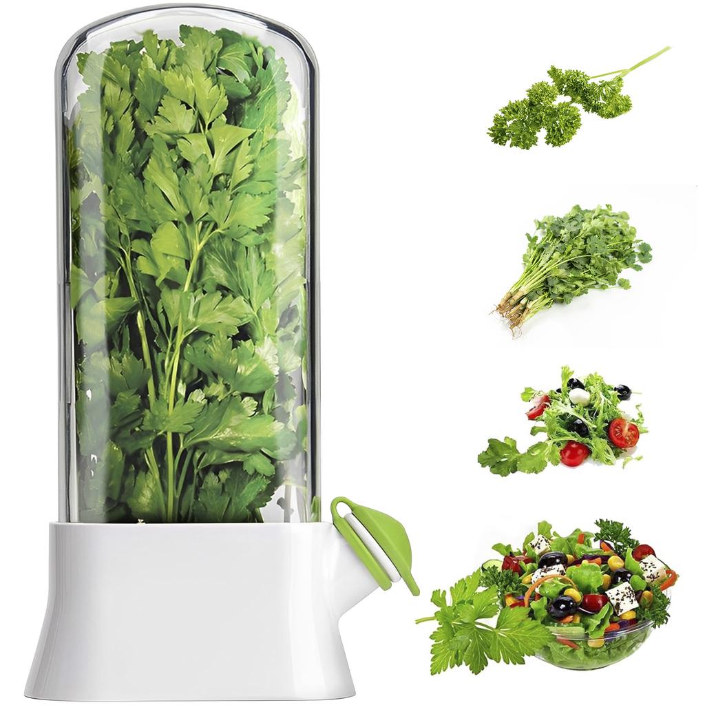 Fresh Herb Keeper for Refrigerator Clear Herb Storage Container for Cilantro, Parsley, Mint & Asparagus Preserver Vegetables