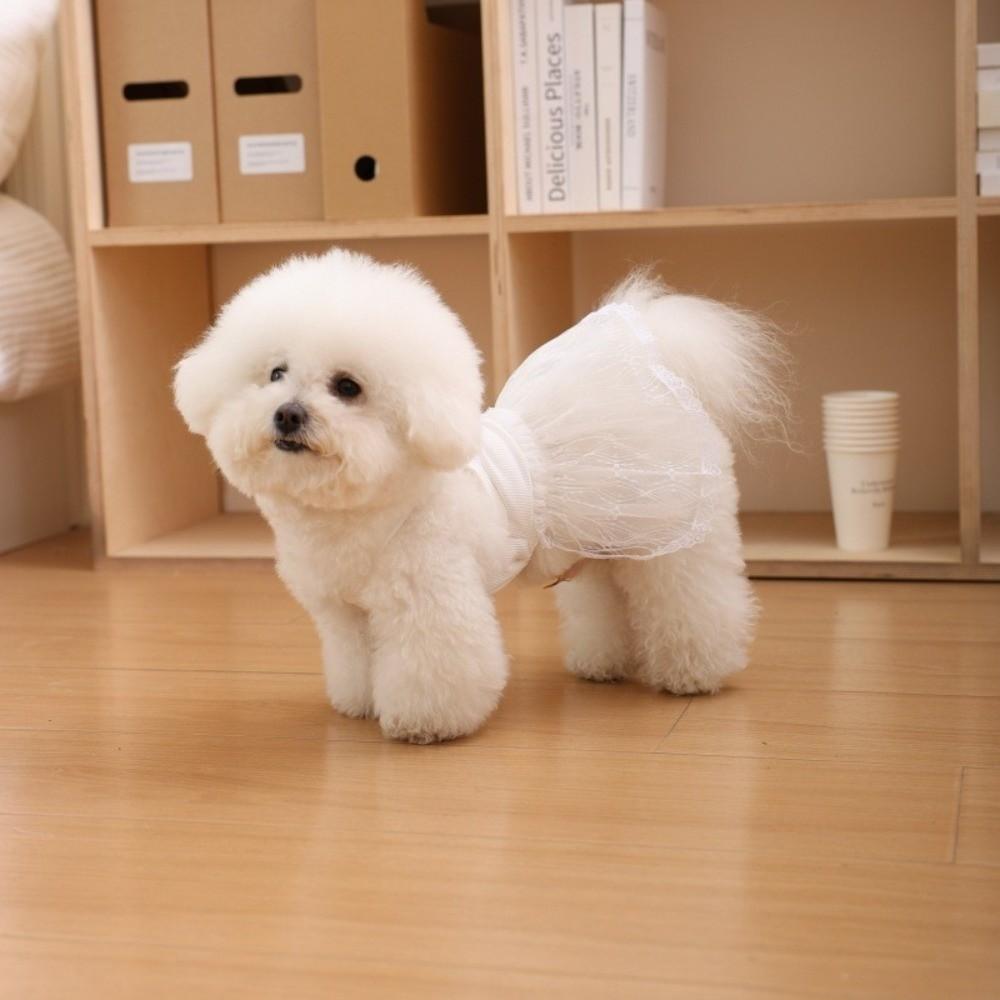 Princess Style Pet Dresses Lace Detail Pet Vest Princess Dog Skirts For Dogs