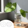 2 Pcs Mason Flower Jar Insert Lid for Wide Mouth Mason Canning Jars Plastic Mason Grid Flower Organizer Lid Insert Mason Jar Lids with Straw Hole