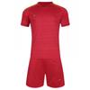 Adult Soccer Jersey Set Short Sleeve Team Uniform Custom Print Number Name Sportswear