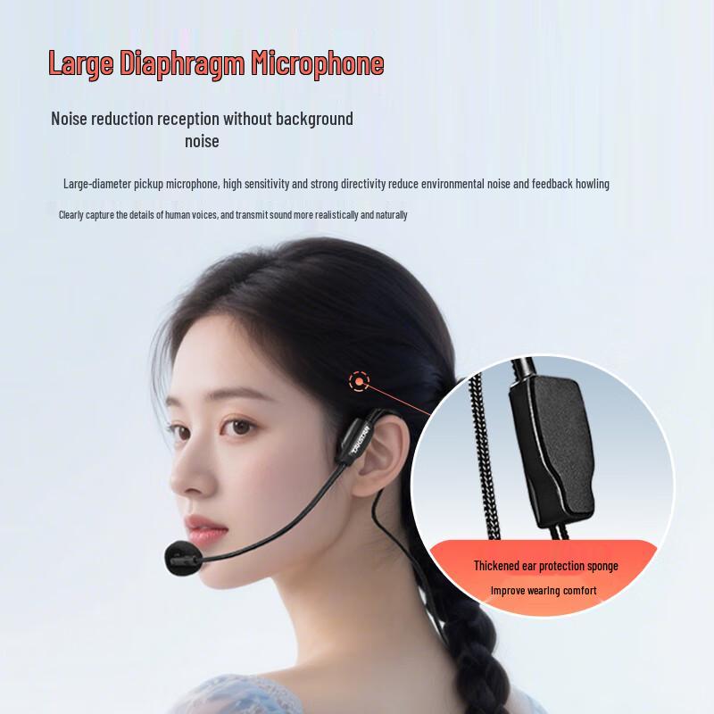 TAKSTAR E140 High Power Portable Voice Amplifier