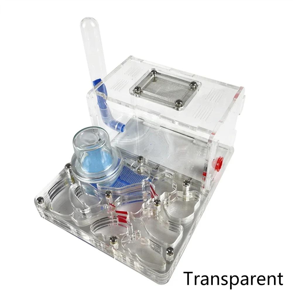 DIY Acryl Flat 3D Ant Farm Ant Nest with Feeding Area Ant House Insect Villa Pet Anthill Workshop with Moisturizing Water Tower