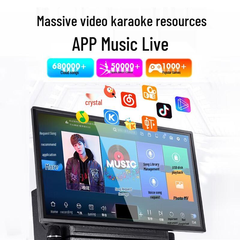 SAST Professional Outdoor KTV Karaoke & PA System CN plug (adapter included)