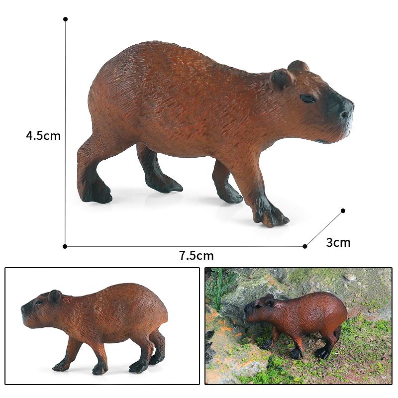 Capybara Toy Wildlife Model, Children Simulation Static Plastic Animal Figure Dolphin Toy