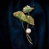 Lotus Pond Moonlight Enamel Brooch - Elegant Chinese Lotus Pin Corsage