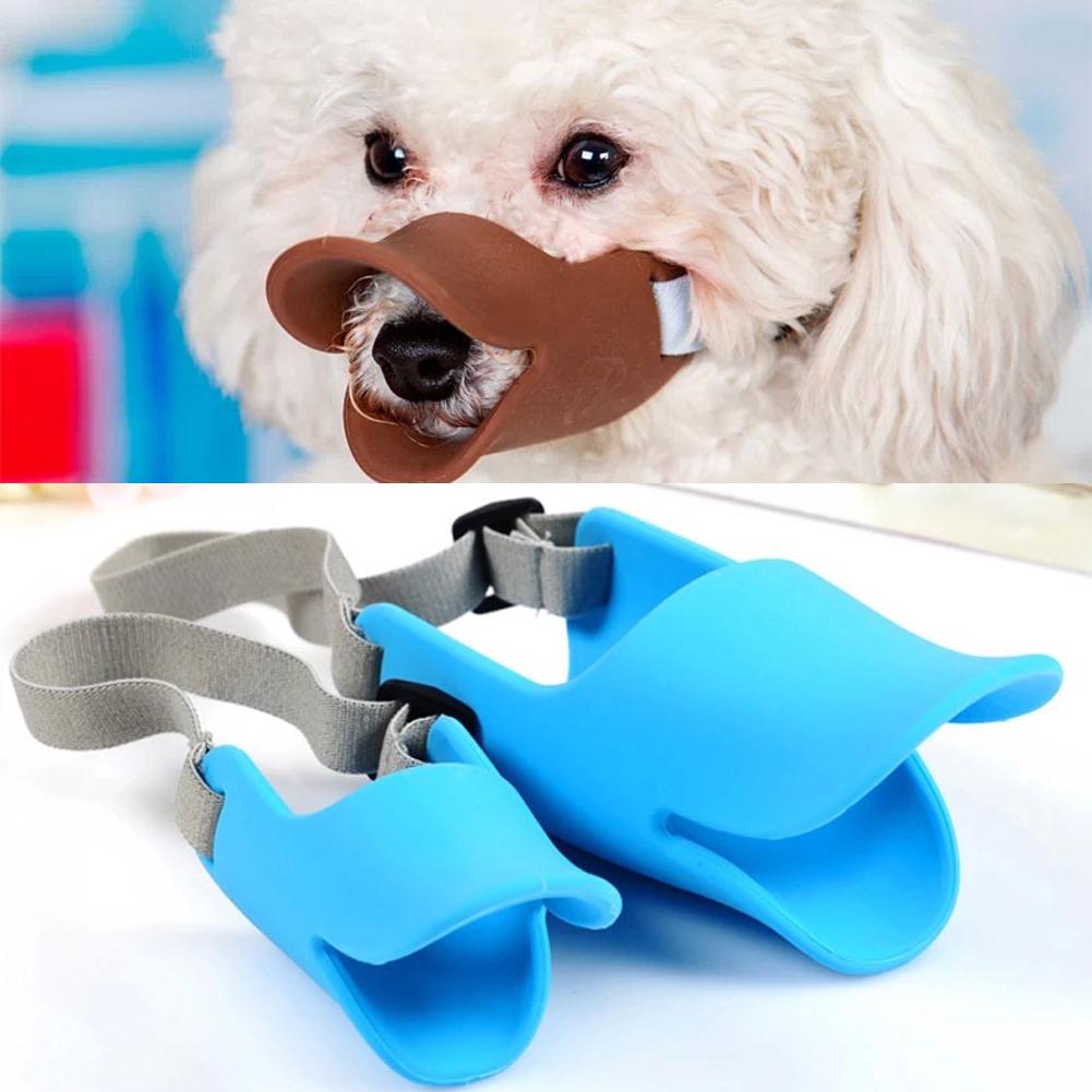 duck mouth dog muzzle