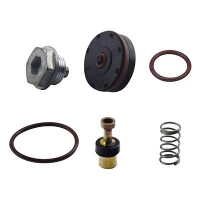 Compressor Pressure Regulator Repair Set Replacement Parts N008792 for D55155 D55168 D55684 1WC94 C002 C006