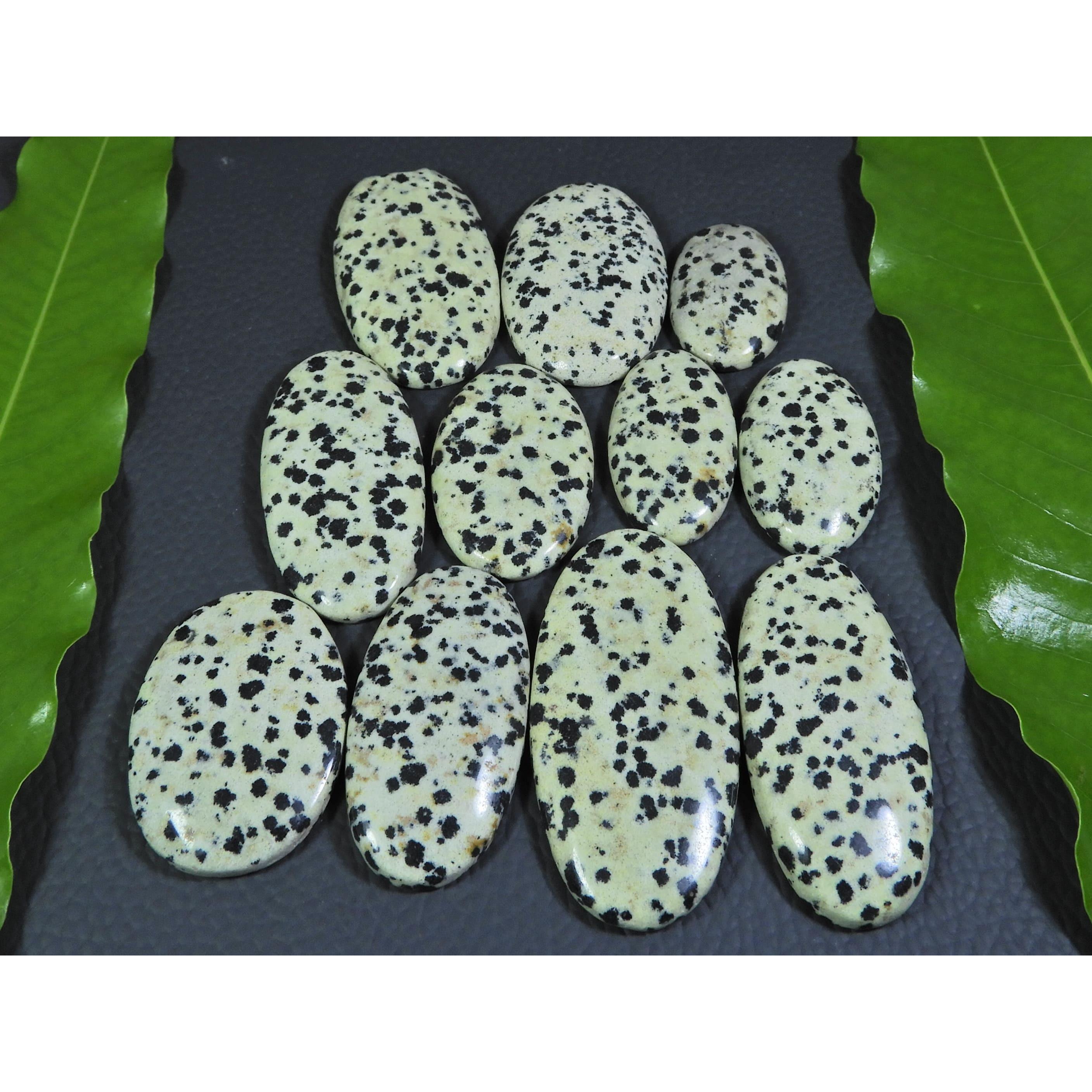 

405Cts. Natural Dalmation Jasper Oval Cabochon Loose Gemstone 11 Pcs Lot A-379
