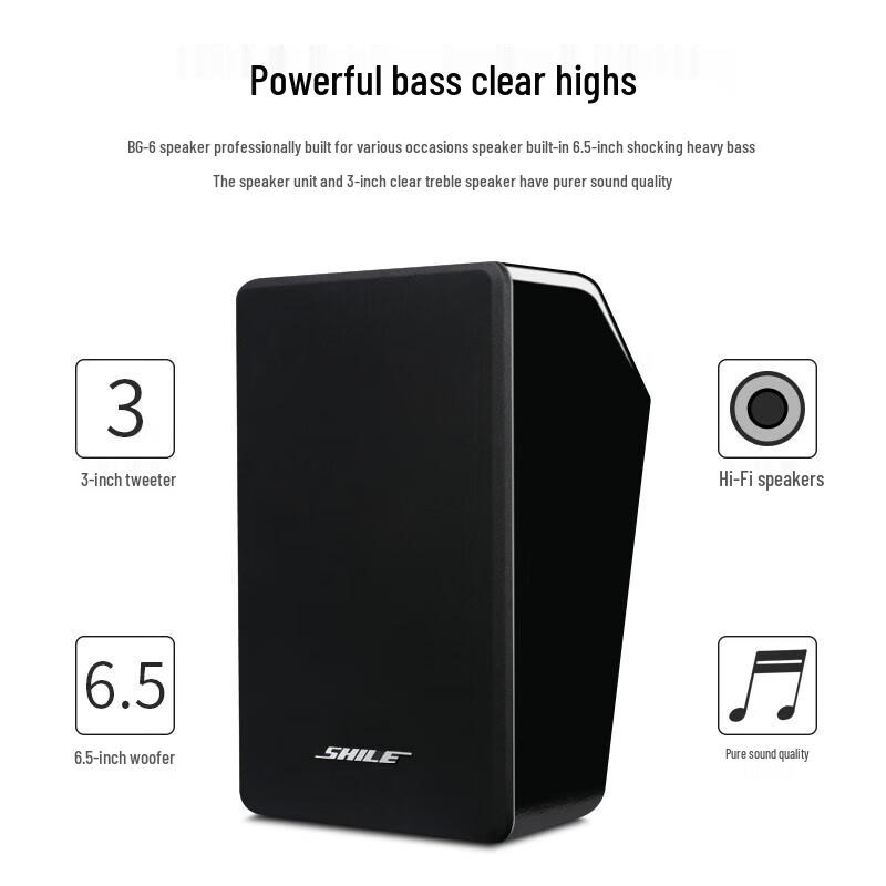 Shile AV-8820/BG-6 Commercial Speaker Pair