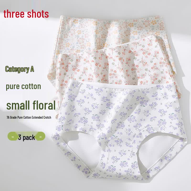 Threegun Women's 100% Cotton Antibacterial Briefs