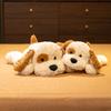 Soft Dog Throw Pillow Plush Toy Doll Teddy Dog Doll Children's Company Soothing Doll