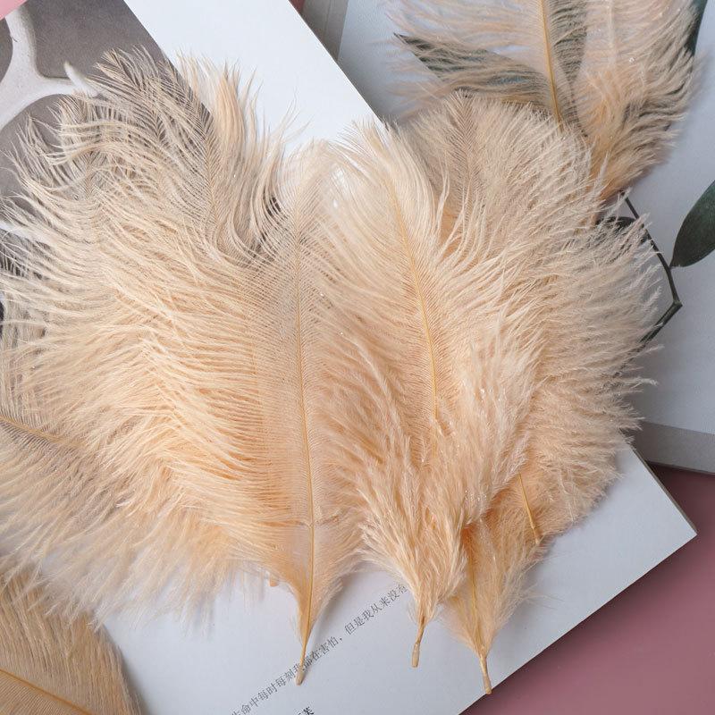 Colored Ostrich Hair 15-20Cm Wedding Ornament Wall Decoration Feather Wall Hand Bouquet Diy Dream Catcher Material