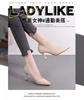 Single shoe women's slim heel 2025 spring new Korean version casual versatile pointed work high heels 5cm