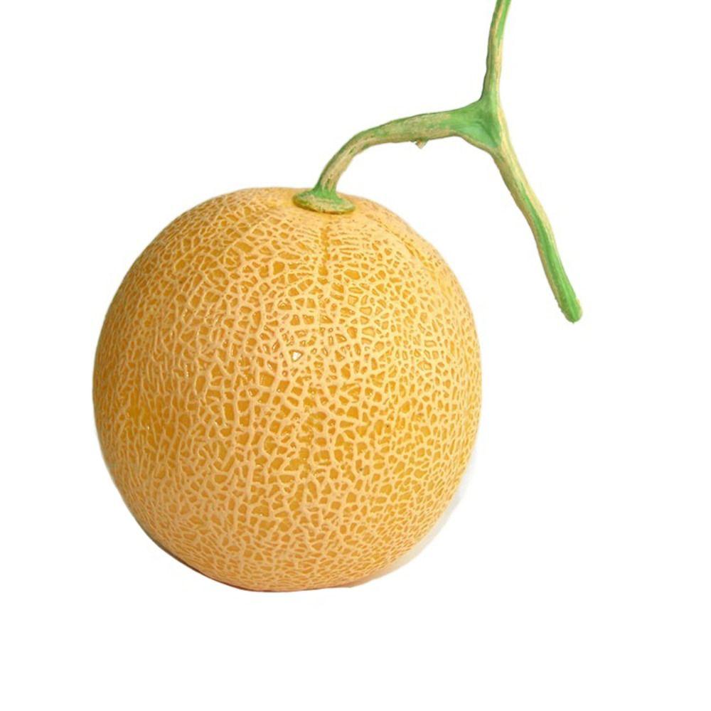 

Модель еды Искусственная дыня канталупа Пена Имитация фруктов Поддельная дыня канталупа Домашний декор Style 1