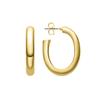 Luxenter and 18k Gold Plated Earrings - Hewcar