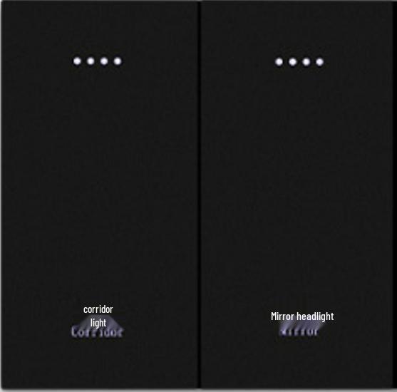 Smart Zigbee Tuya Double Switch with Alexa Voice Control, Aluminum Panel, and 86 Back Box Compatibility