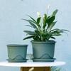 Breathable Root Control Flower Pot