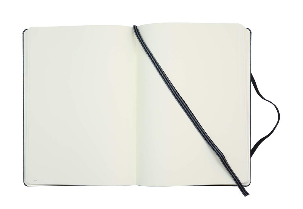 Leuchtturm A5 Notebook, Plain Gold, 355518, Officially Imported