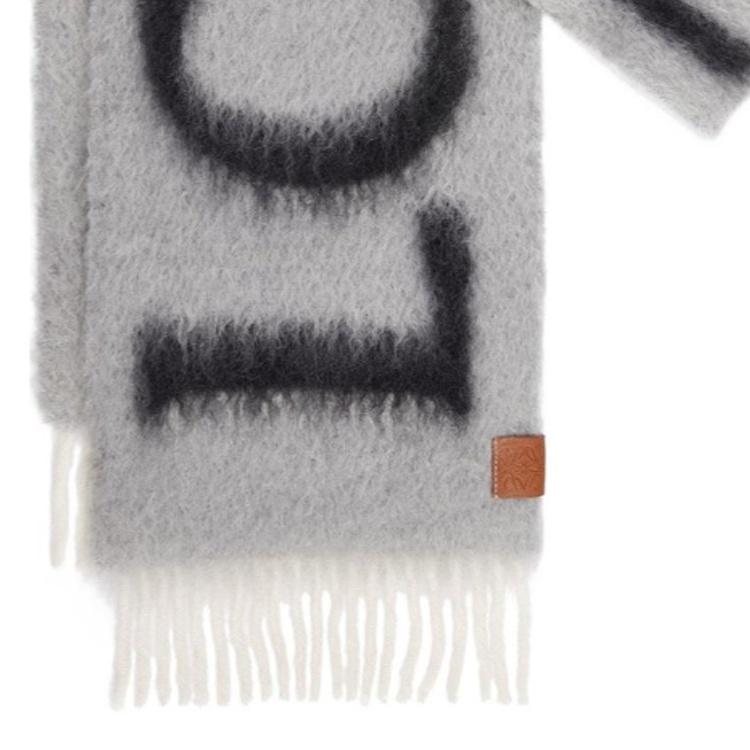 LOEWE Knit Scarves Women's Gray F811257X03AW24