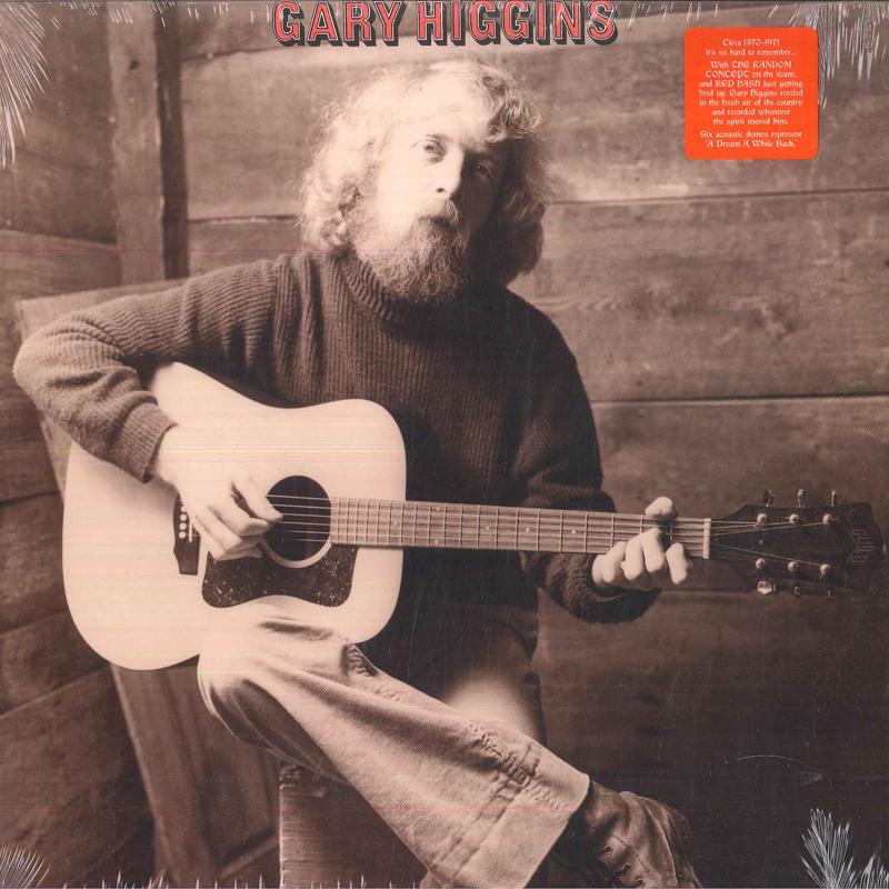 

LP Record GARY HIGGINS - A Dream A While Back DC464 Drag City 2011 US Folk