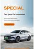 Customized BYD Tang Car Seat Cushion, Perforated Leather, 5/6/7-Seater, All-Season Use