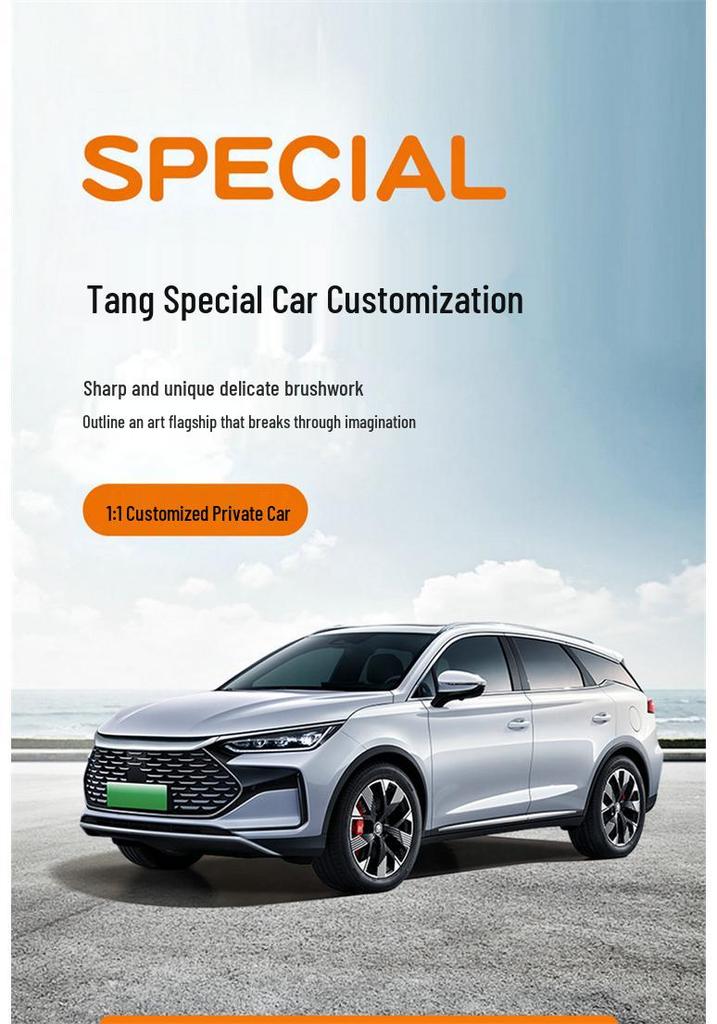 Customized BYD Tang Car Seat Cushion, Perforated Leather, 5/6/7-Seater, All-Season Use