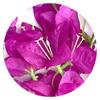 5pcs Artificial Triangular Plum Branches Simulation Bougainvillea Branches for Home Decoration Table Centerpieces