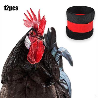 12 Pieces Chicken Anti Crow For Poultry