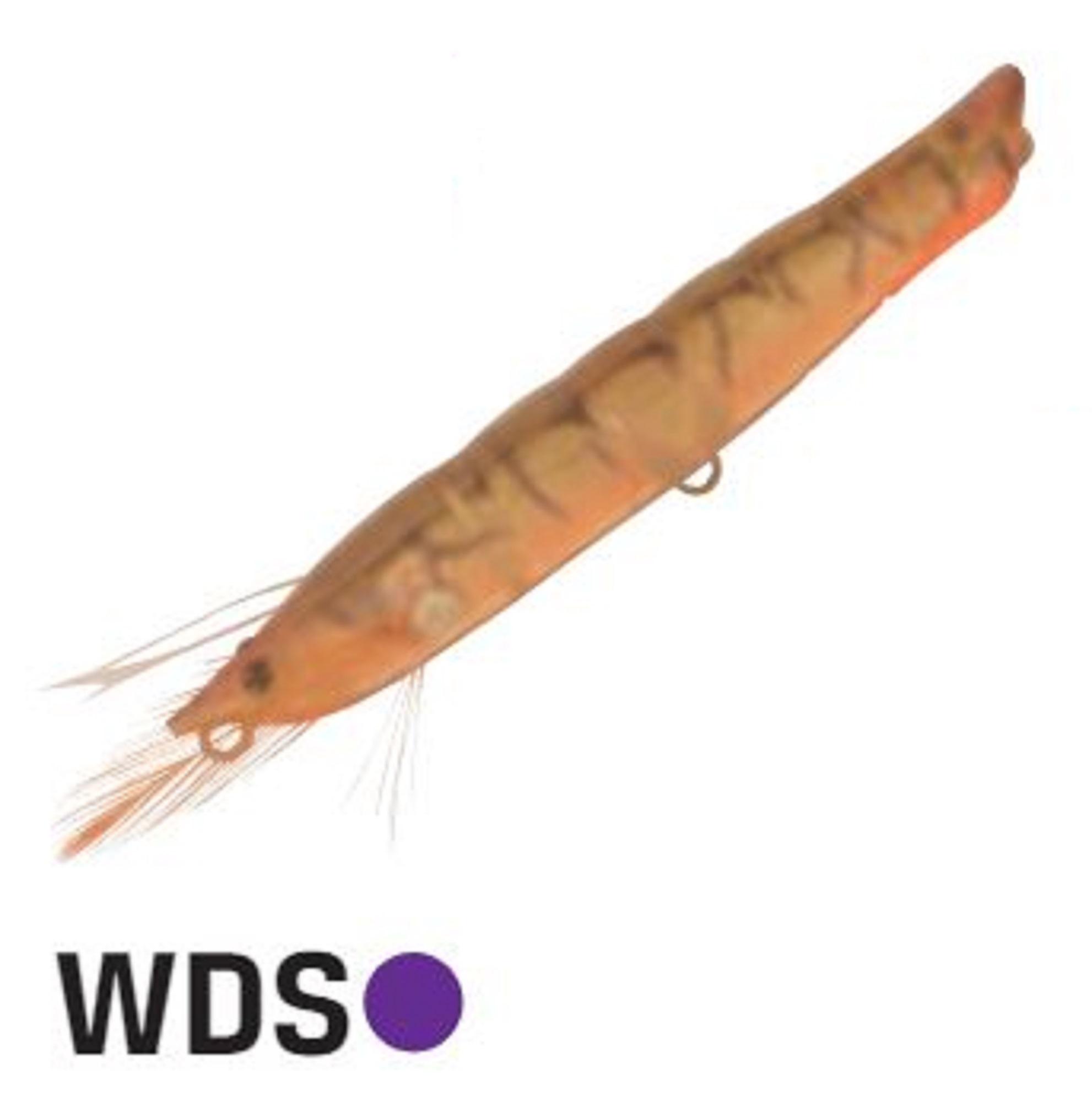 Leurre Topwater Jackson Ebi Panic 70 - Flottant - 70 Mm, 4g, Hochet - Pour Bass (SRP)