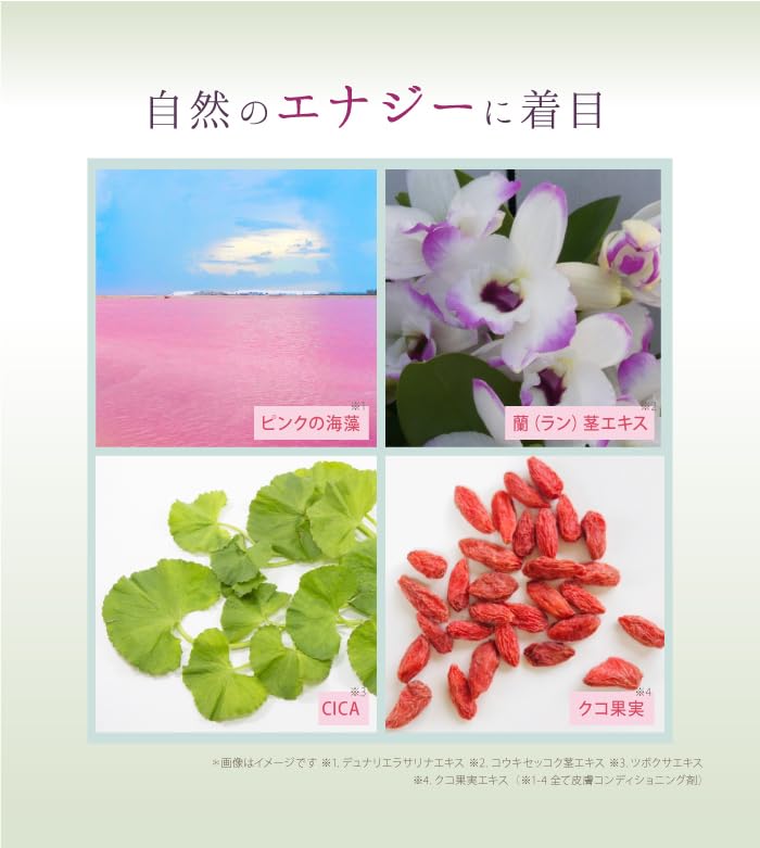 Saimdang Premium STEM Moisture Perfect Rich Cream (Single Item)
