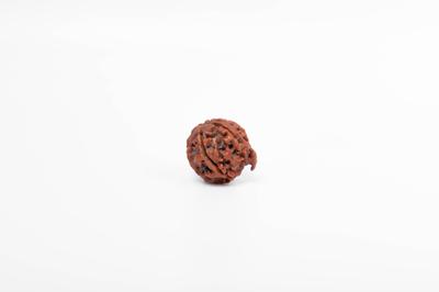 Natural Ganesh Rudraksha Bead – Nepali Origin | Bead for Prosperity, Luck, New Beginnings, Wisdom, Fortune & Divine Grace | Organic & Lab Certified