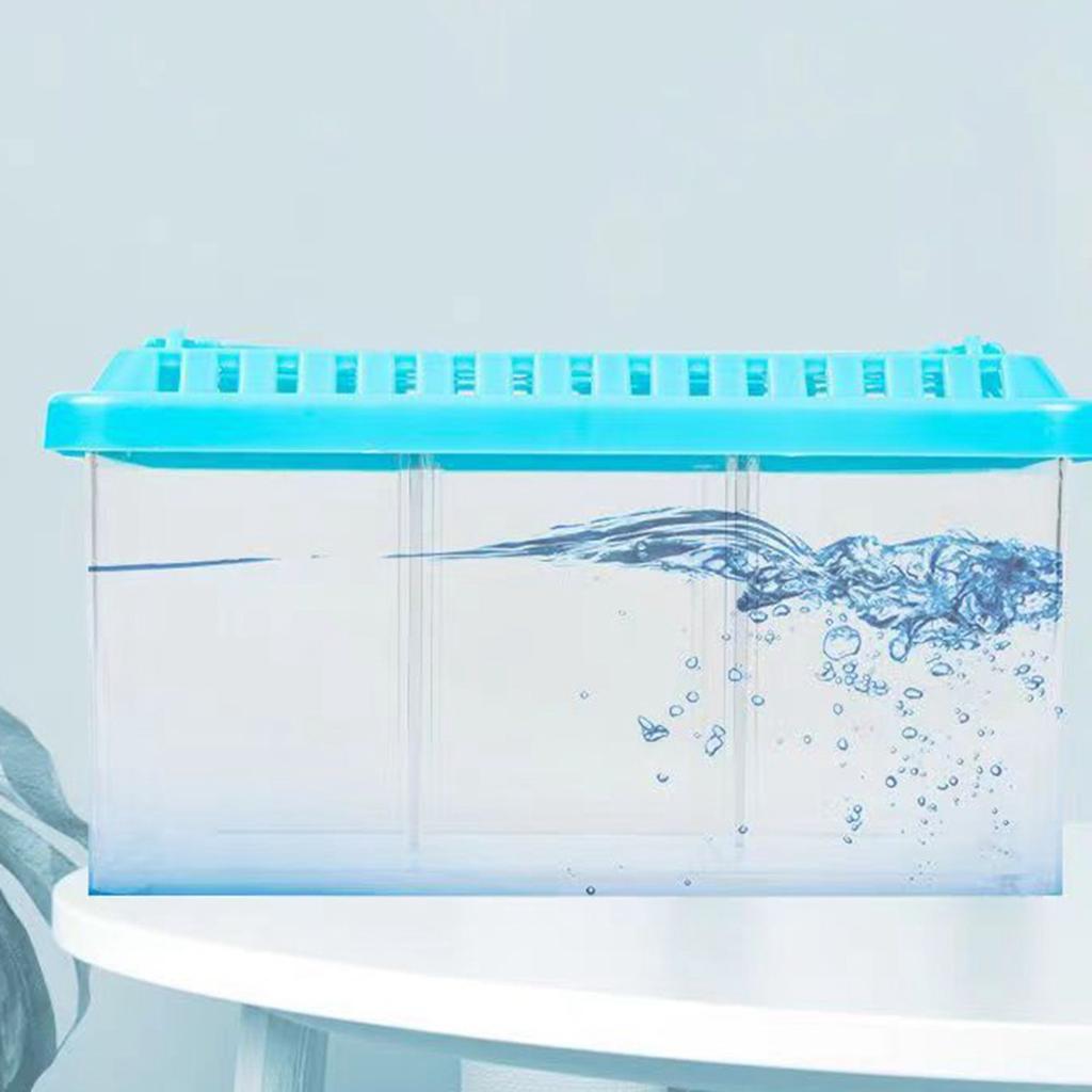 Acrylic Fish Tank Detachable 3 Areas Small Aquarium Desktop Ornamental Transparent Fish Tank for Hom