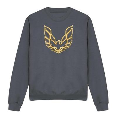 Pontiac Unisex Adult Iconic Firebird Sweatshirt