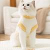 Pet Cat Clothes Autumn and Winter Velvet Two-legged Dog Going Out Warm Velvet