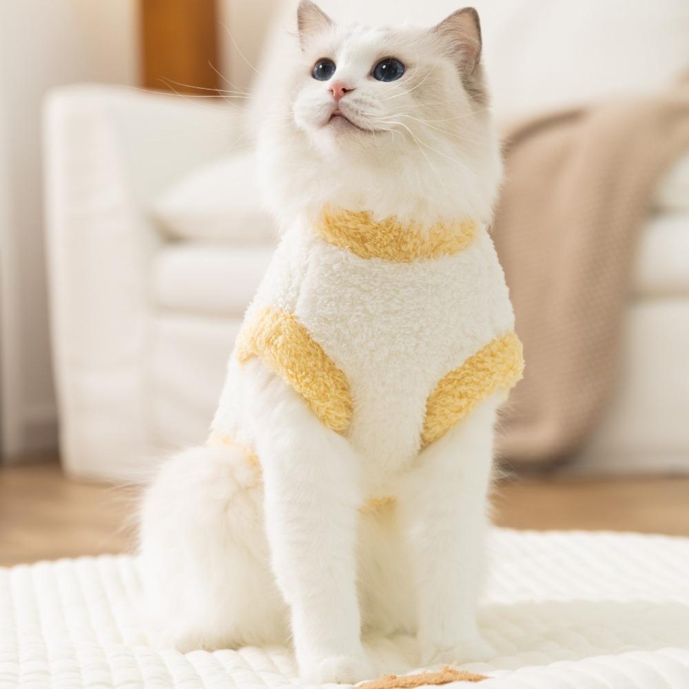 Pet Cat Clothes Autumn and Winter Velvet Two-legged Dog Going Out Warm Velvet