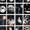 32pcs, Space Cat Postcards, Greeting Cards, DIY Postcards, Decorations, Suitable for Collection and Gifting